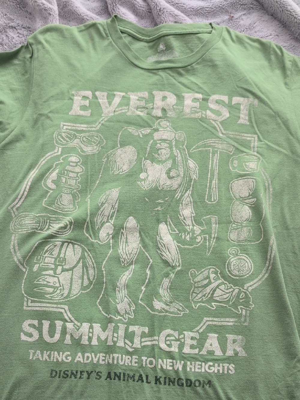 Disney Light Green Animal Kingdom 'Everest Summit-Gear' Graphic Tee